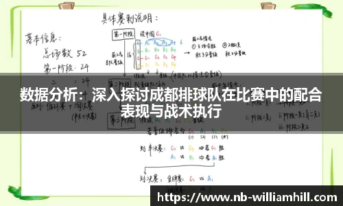 数据分析：深入探讨成都排球队在比赛中的配合表现与战术执行