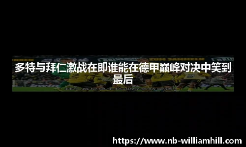威廉希尔官方入口